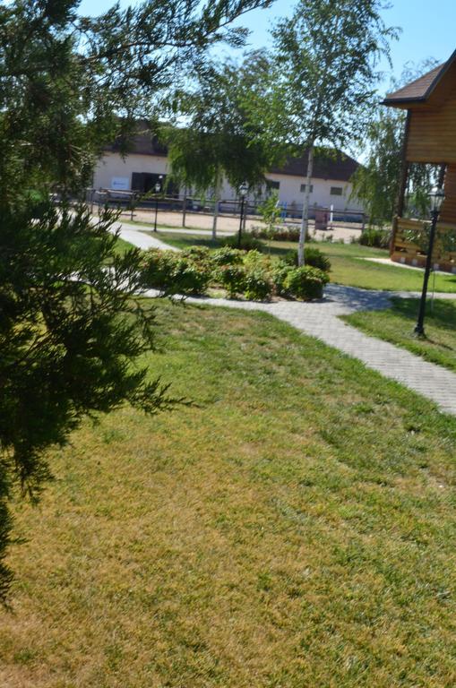 Panska Hata Hotel Nyzhnya Khortytsya Bagian luar foto